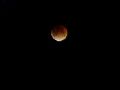 Eclipse totale de lune fev08